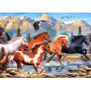 Puzzle Alipson Wild und frei 500 Teile