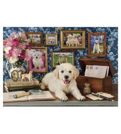 Puzzle Anatolian Labrador 500 Teile