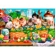 Castorland Kittens Sleeping Puzzle mit 1000 Teilen