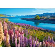 Castorland Lake Tekapo, Neuseeland 500-teiliges Puzzle