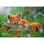 Castorland Fox Dreams Puzzle 500 Teile