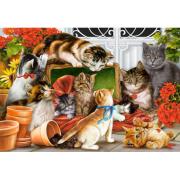 Castorland Kitten Playtime Puzzle 1500 Teile