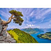 Puzzle Castorland Blick auf den Urnersee, Schweiz, 1000 teile