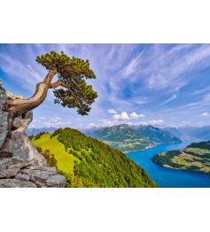 Puzzle Castorland Blick auf den Urnersee, Schweiz, 1000 teile