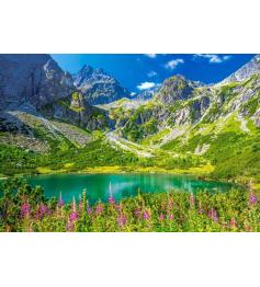 Puzzle Castorland Zelene Pleso, Tatra, Slowakei 1000 Teile