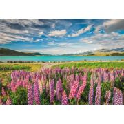 Puzzle Clementoni Lupinen am Lake Tekapo 1500 Teile