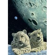 Grafika Snow Leopard Lair Puzzle 1000 Teile