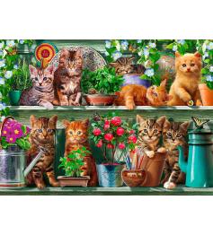 Ravensburger Cats on the Shelf 500-teiliges Puzzle