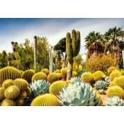 Puzzle Ravensburger Huntington Desert Garden, California 1000 Te