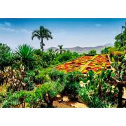 Puzzle Ravensburger Botanical Garden, Madeira 1000 Teile