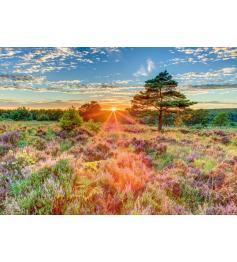 Puzzle Schmidt Sonnenuntergang auf der Heide 1000 Teile