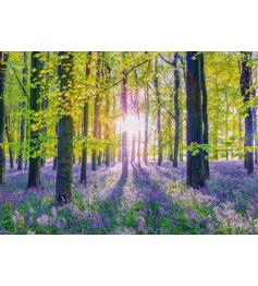 Puzzle Schmidt Ruhige Wälder mit Glockenblumen 1000