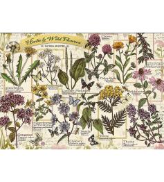 Puzzle Trefl Herbarium: Heilkräuter 500 Teile